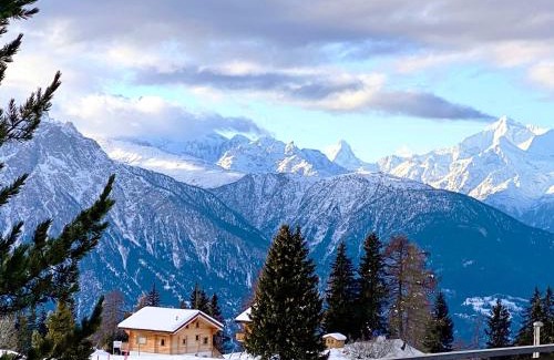 Riederalp Apartment | Adler Residenz 14