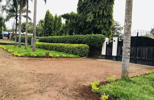 Moshi House | Affordable Home Away from Home