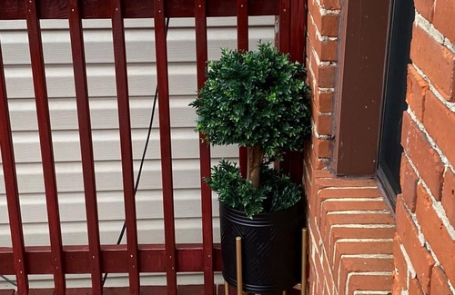 Riverside House | Affordable Luxury Town Home in Federal Hill Baltimore.