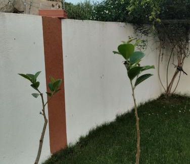 Dar Allouche Villa | Agréable