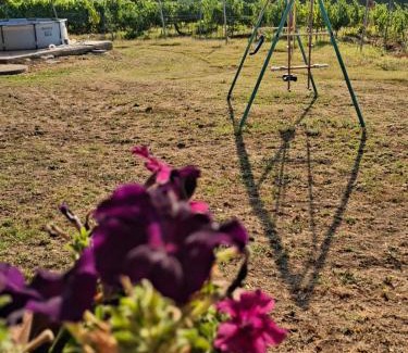 Magliano in Toscana Apartment | Agriturismo podere 329