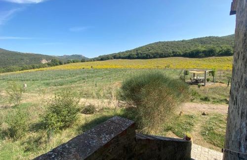 Castiglione d'Orcia House | Agriturismo Pian Di Meta Vecchia