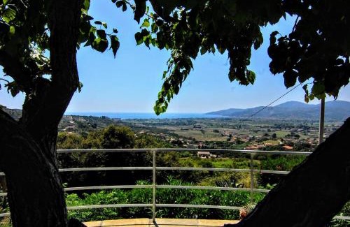 Ascea House | Agriturismo Tempa del Niglio