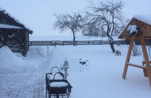 Nyasvizh House | Agrousadba Домик в деревне