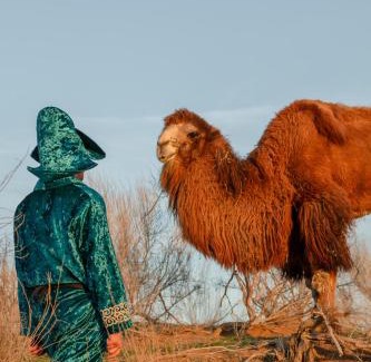 Koshkuduk Other | Aidar Yurt Camp