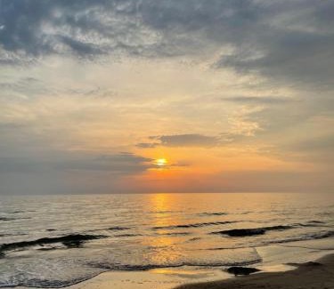 Palanga House | Aido takas 4 Holiday Home