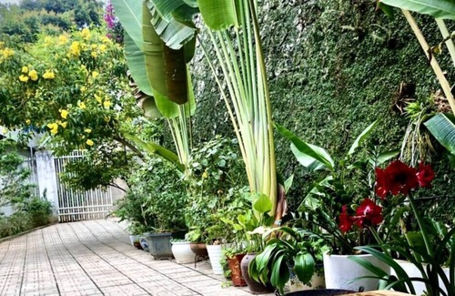 Cao Bang Apartment | AK Homestay - Cao Bang City