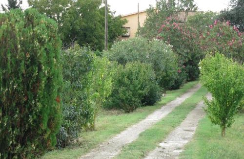 Viterbo Apartment | AL MANDORLO Casa Vacanze