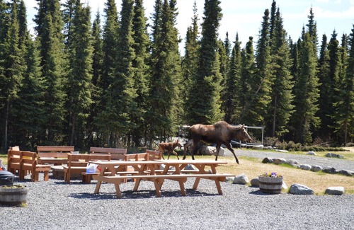 Sterling Cabin | Alaska Red Fish Lodge Furnished Cabin #9