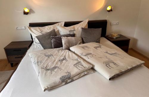 Wald am Arlberg Apartment | Alba Apartments