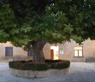 Maella Hostel | Albergue de Maella