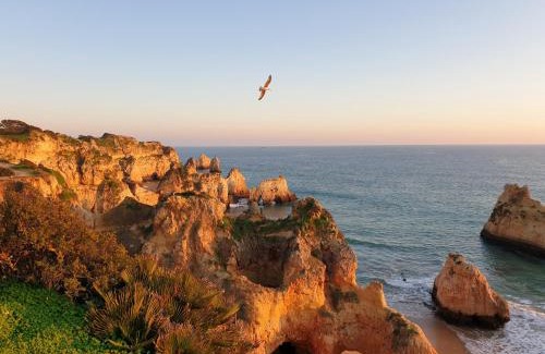 Torralta Apartment | Algarve Alvor Tower
