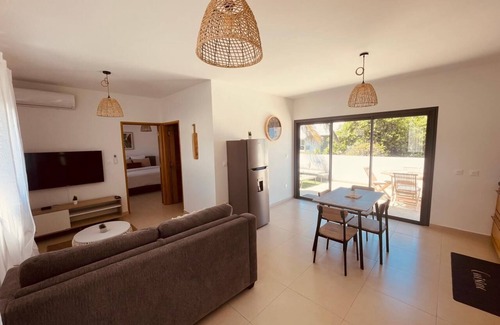 Centre-Ville Apartment | ALIZEA apartment, spacious with large terrace