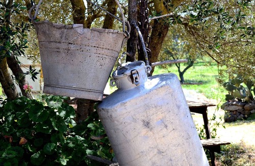 Dorgali House | All-around experience in lovely apartment within the farm.