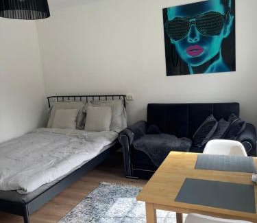 Kesklinn Apartment | Ally's Urban Cozy Studio Juhkentali 42 Tallinn near city centre airport next to bus station