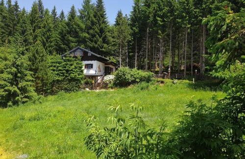 Bad Sankt Leonhard im Lavanttal House | Alm`Ferienhaus Gaisegg