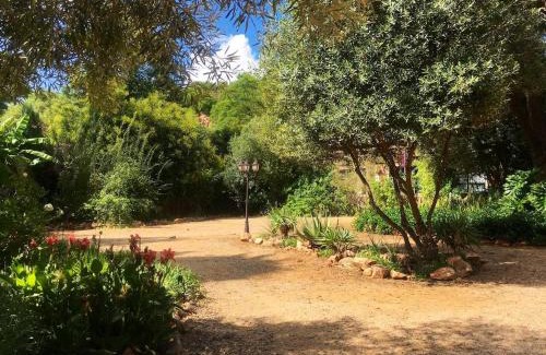 Klerksdorp Bed & Breakfast | Aloe Guesthouse Klerksdorp
