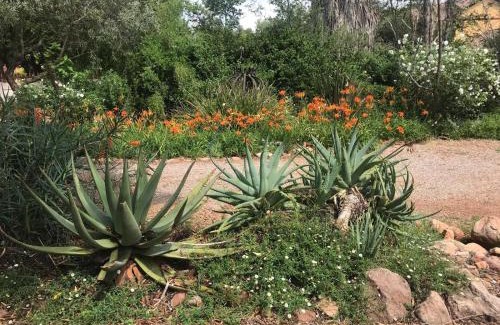 Klerksdorp Bed & Breakfast | Aloe Guesthouse Klerksdorp