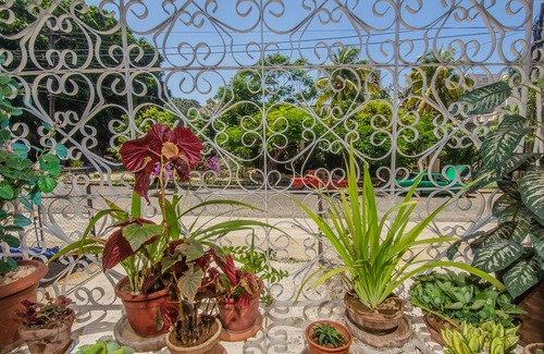 El Vedado Apartment | Alojamiento Residencial Vedado & Servicio de Wifi