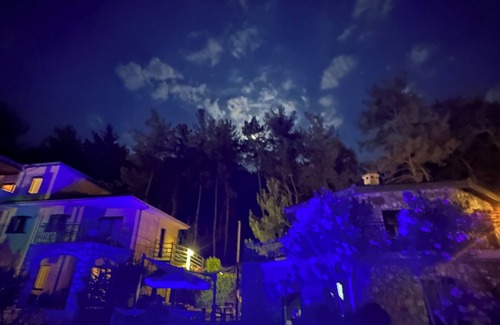 Marmaris Apartment | Alp Inn Butik Otel