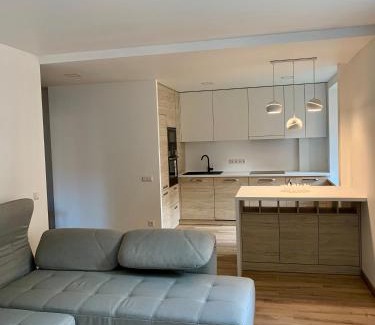 Alytus Apartment | Alytus Apartament