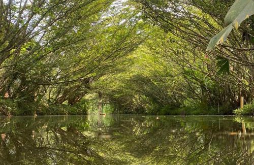 Misahualli Cabin | Ama Ecolodge