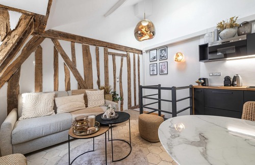 Quartier de la Place-Vendome Apartment | Amazing Historical Parisien Loft Next TO Louvre Area ! 6