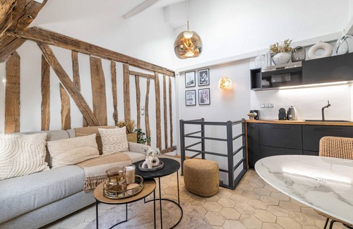 Quartier de la Place-Vendome Apartment | Amazing Historical Parisien Loft Next TO Louvre Area ! 6