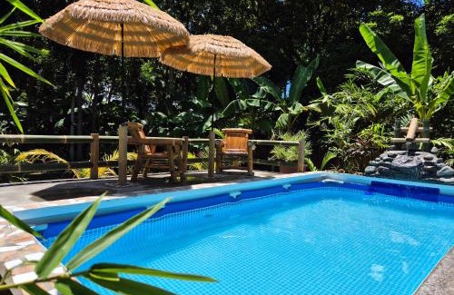 San Pedro Bed & Breakfast | Amazing Ocean View Treehouse & Pool