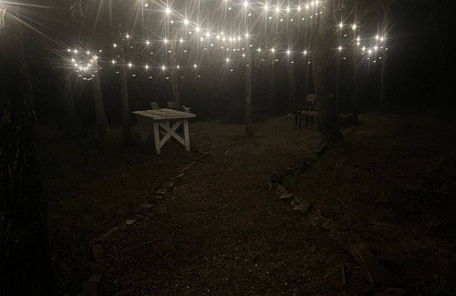Blocker House | Amazing Views, Fire Pit, Lake 5 Mins away, ATV Friendly! Summer Specials!