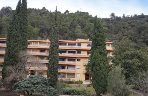 Amelie-les-Bains-Palalda Apartment | Amelie les Bains Coquet F1