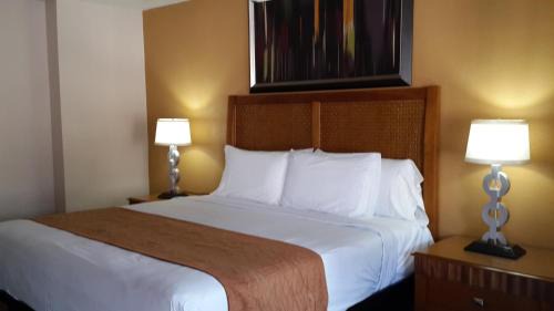 Williams Hotel | American Regency Inn
