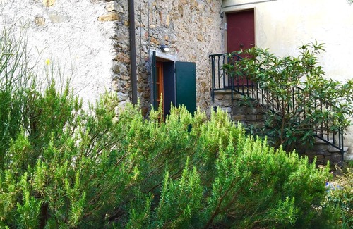 Bonassola House | Among olive trees and lavender, small detached house with garden and private parking