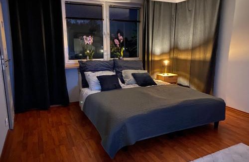 gmina Olsztyn House | Amonit