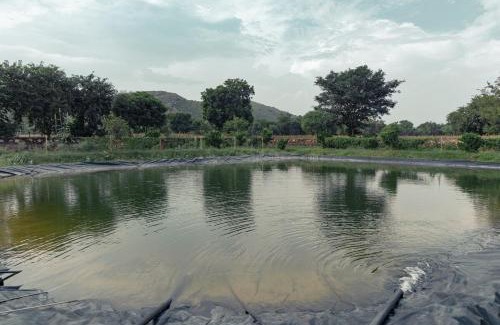 Kishangarh Bas House | Amrai by Kivaara