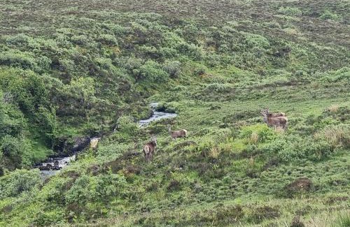 Suladale Apartment | An Cois Na H-Aibhne