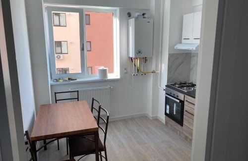 Ciurea Apartment | Ana Maria