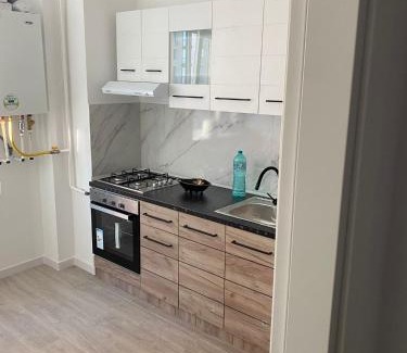 Ciurea Apartment | Ana Maria