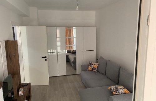 Ciurea Apartment | Ana Maria