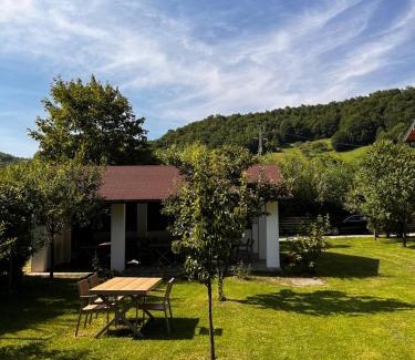 Viseu de Sus House | Anahouse