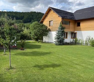 Viseu de Sus House | Anahouse