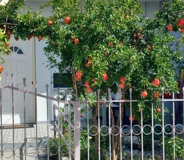 Nea Peramos House | Anastasia’s Home