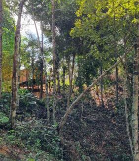 Taruma-Acu Cabin | Anauê Jungle Chalés