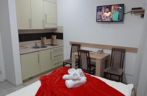 Banja Koviljaca Apartment | Andora
