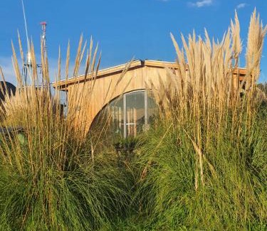 Colonia Chapadmalal Hotel | Angiru