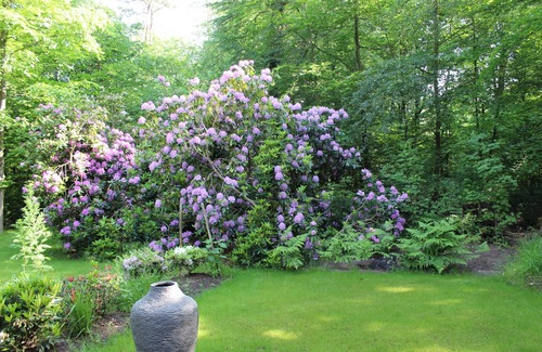 Schonwalde House | Anna's house vacation in the wooded outskirts of Berlin. Ecologically! Living