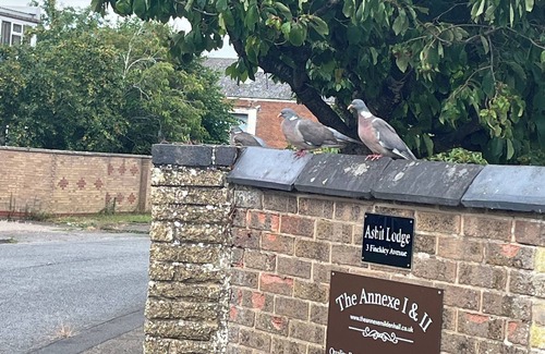 Mildenhall House | Annexe II 15 mins walk from Mildenhall Centre