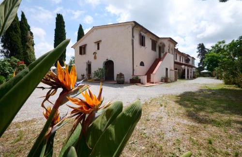 San Vincenzo House | Antichi Palmenti - Ginepro