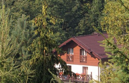 Krynica-Zdroj House | Antracyt