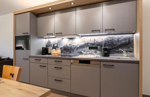 Haus im Ennstal Apartment | Apart33 Top 2-12